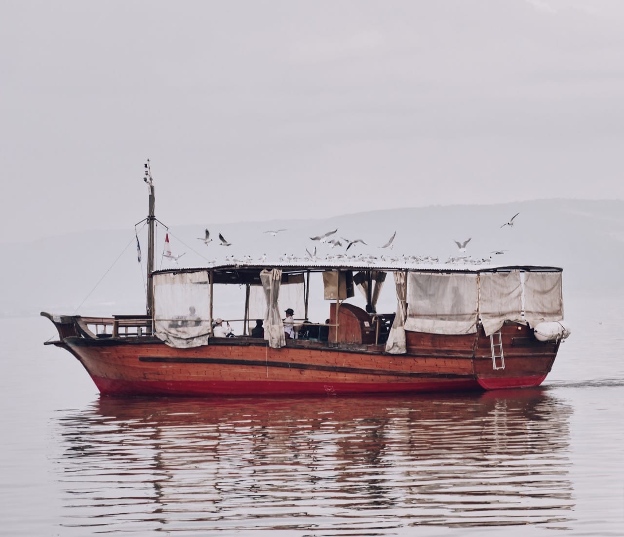 boat with birds atop